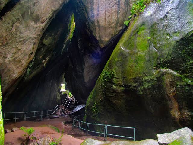 Wayanad Trip from Bangalore - Easy trek in Wayanad, Kerala