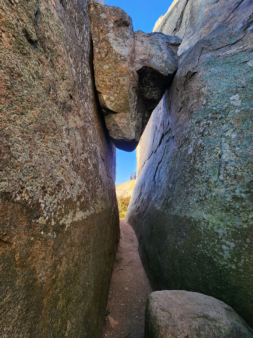 Kaiwara Betta Trek 2